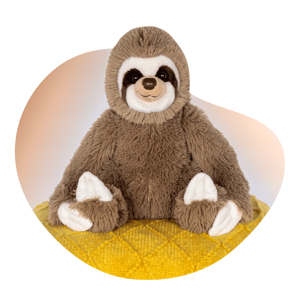 Sloth plushie with sloth photo on packaging